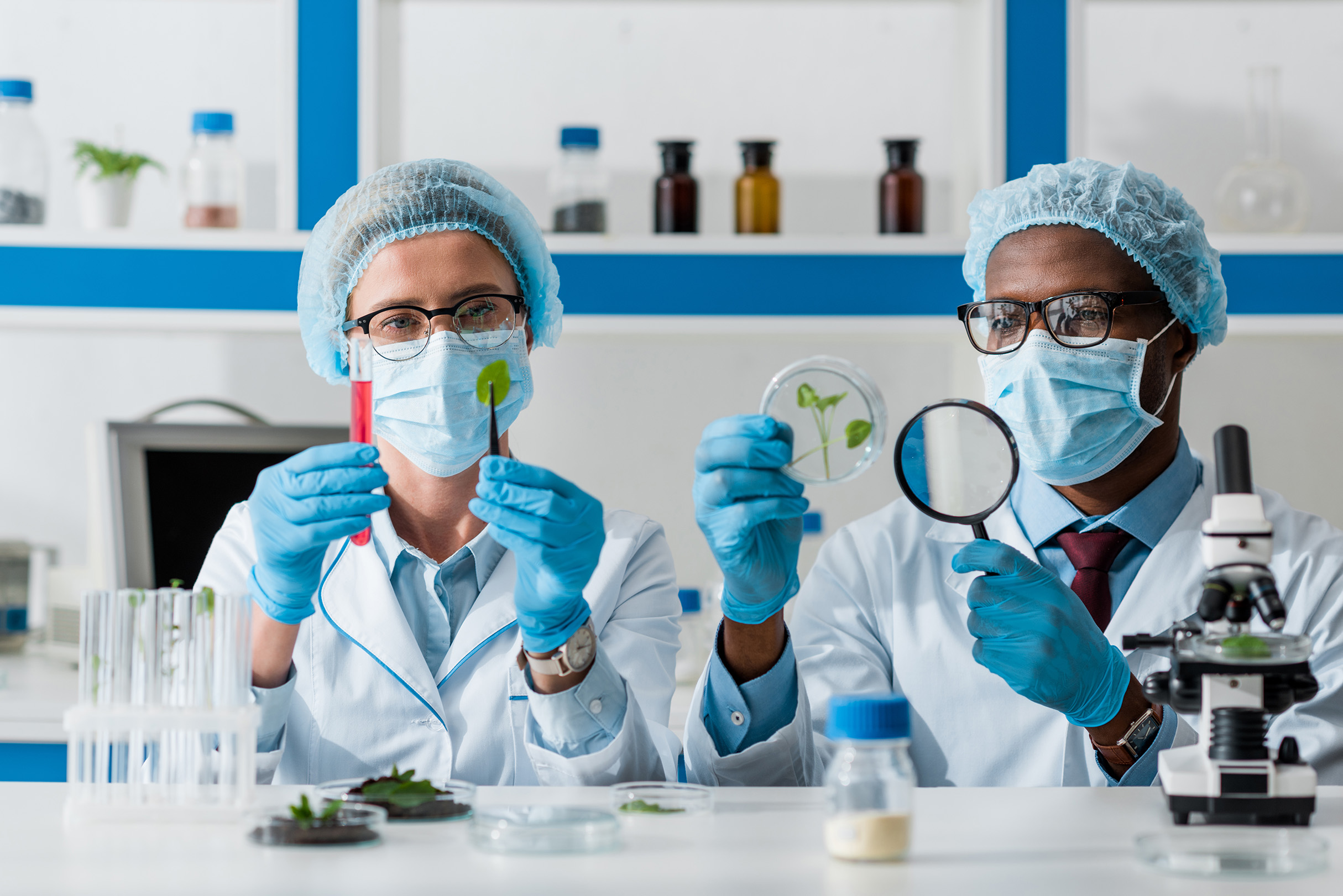 african american biologist looking at leaves with 2023 11 27 05 35 47 utc